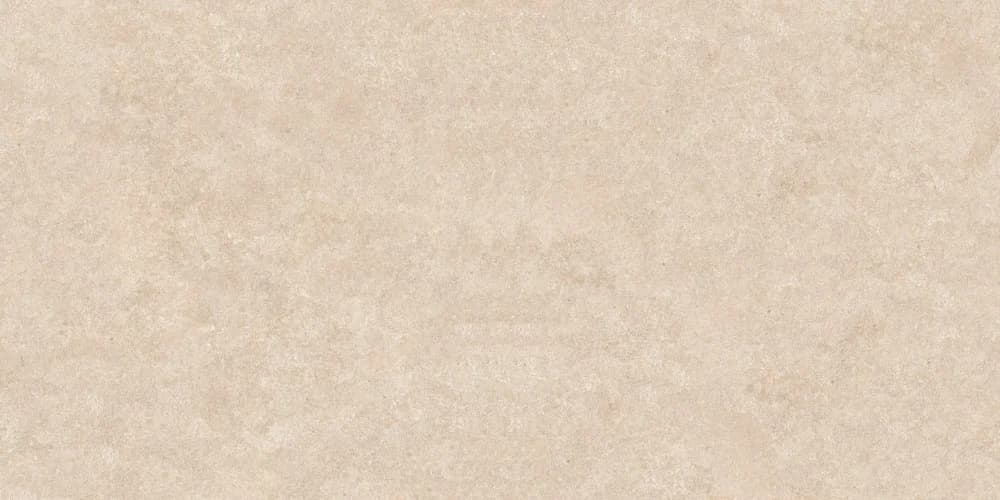 Arcides Latte, Bild 2 von 2
