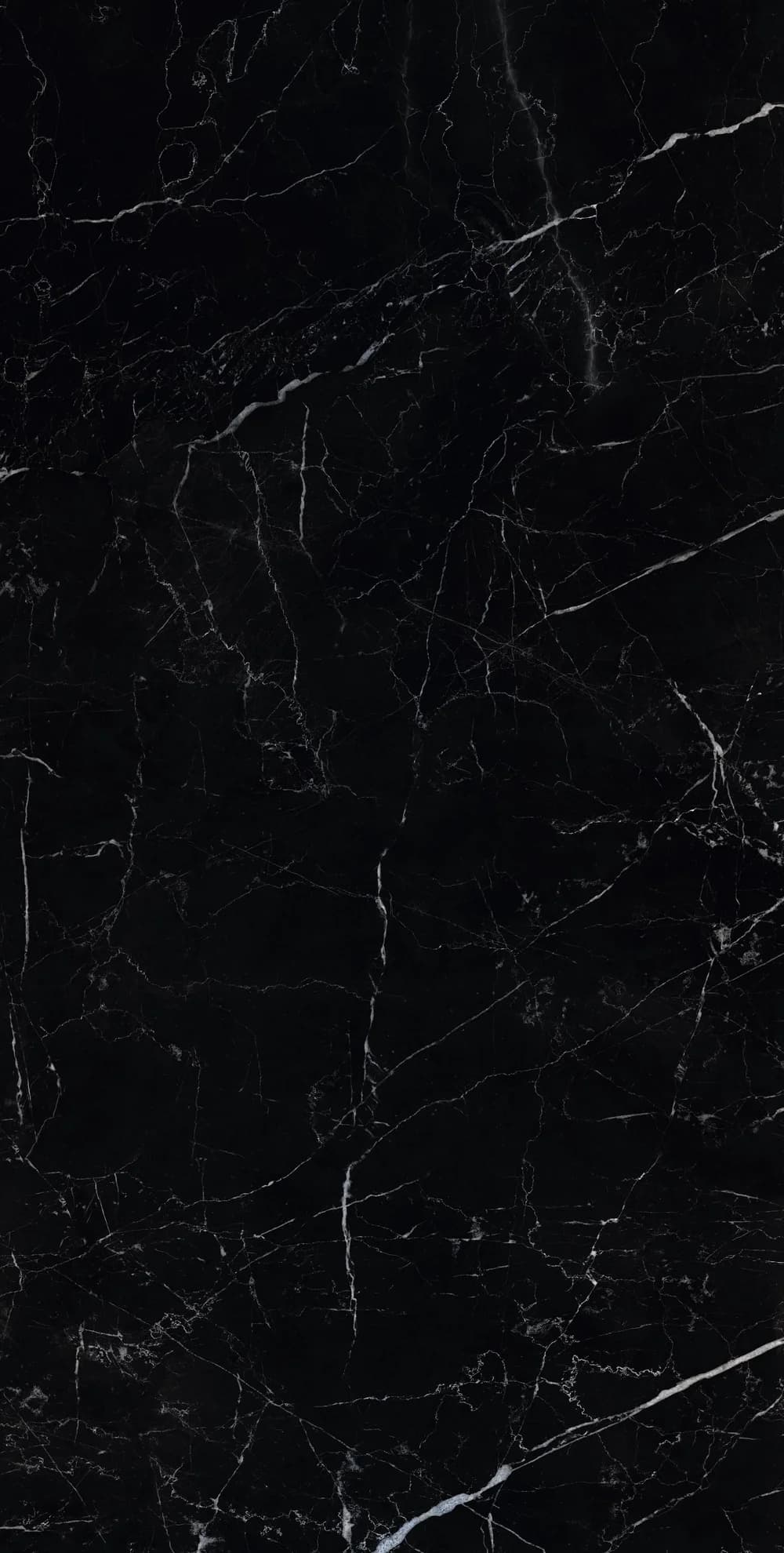 Sombra Black, Bild 1 von 4