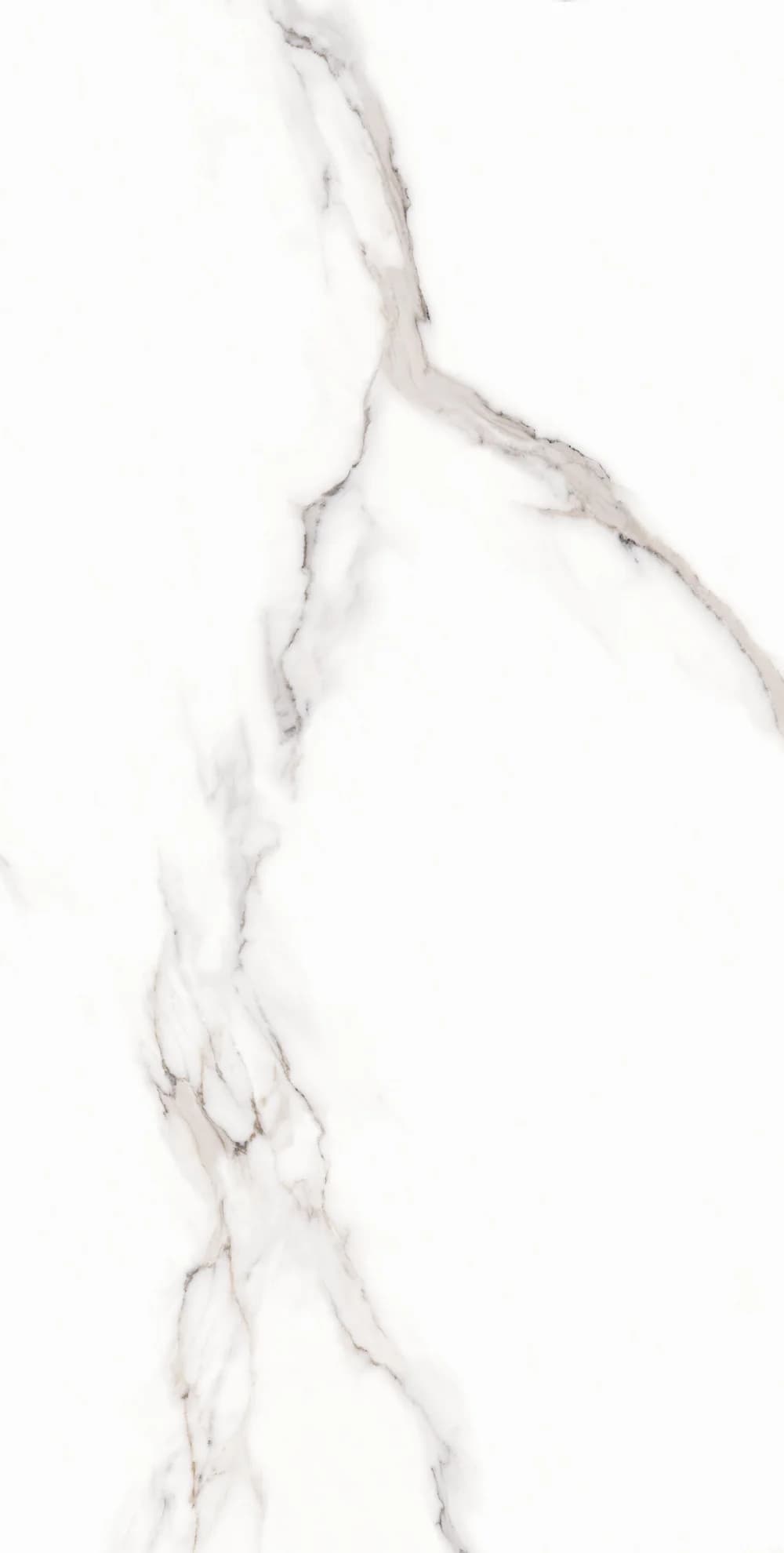 Shanti, Bild 1 von 4