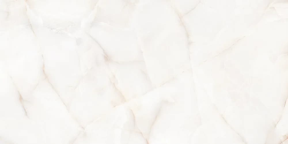 Onelia, Bild 1 von 4
