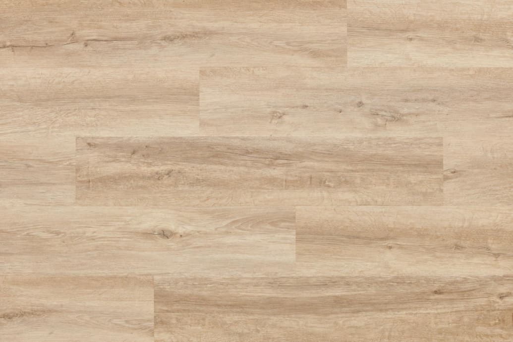WOODRIC ACOUSTIC - Eiche Windsor, Bild 6 von 6