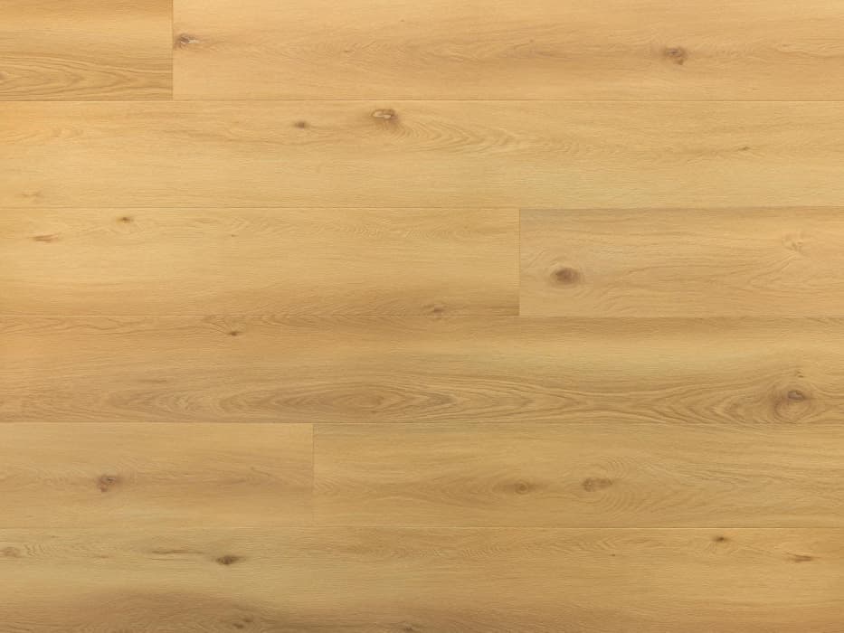 Amaron Superiore ACOUSTIC - EICHE BEATRICE, Bild 3 von 5