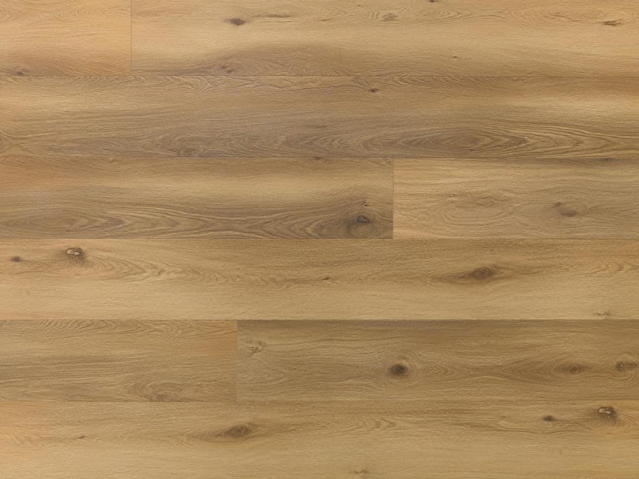 Amaron Superiore ACOUSTIC - EICHE BURBON, Bild 5 von 5