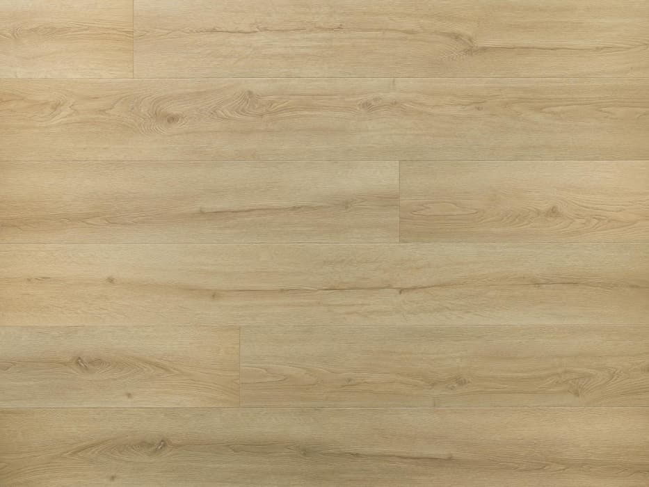 Amaron Superiore ACOUSTIC - EICHE CHEVALIER, Bild 3 von 5