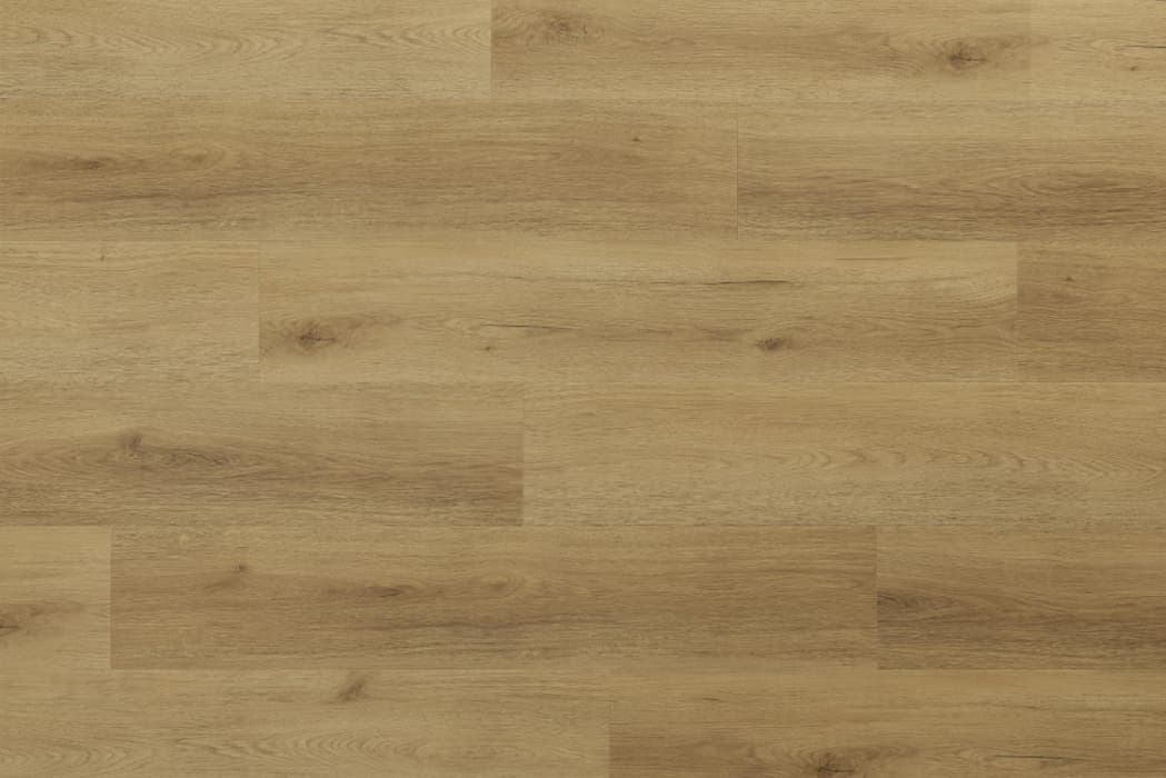 Woodric Acoustic - Eiche Glenmore, Bild 3 von 8
