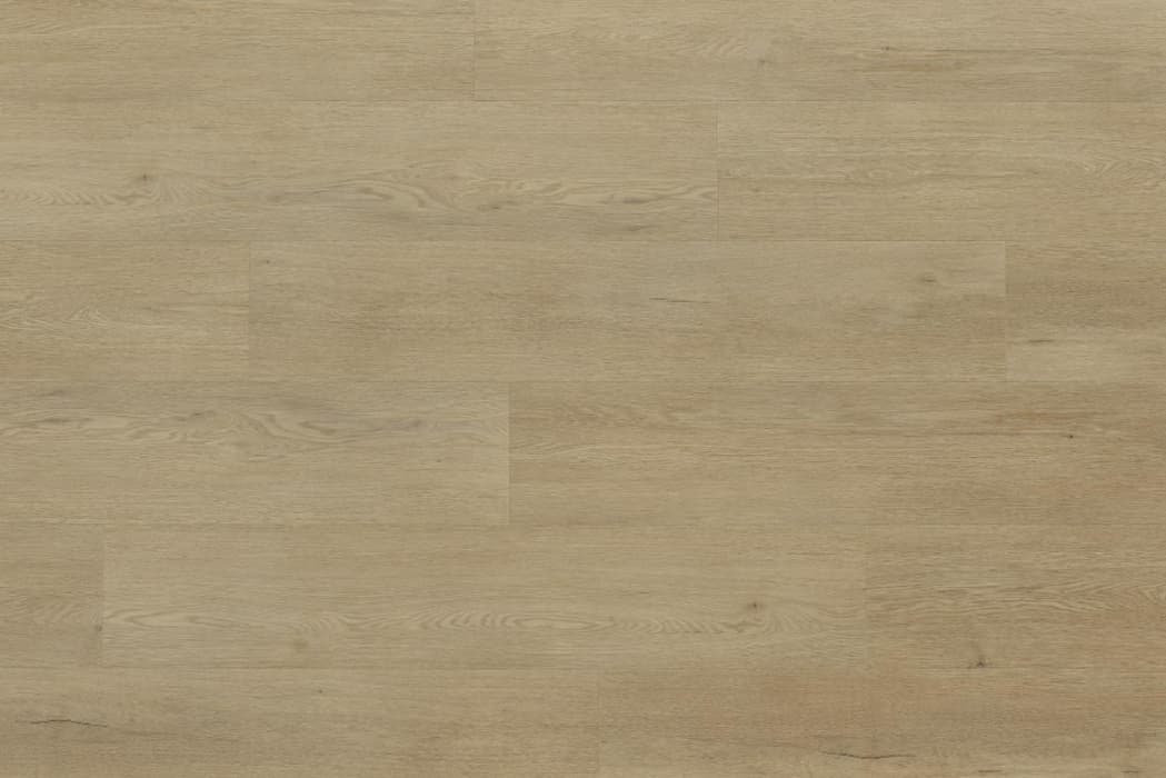 Woodric Acoustic - Eiche Weston, Bild 3 von 4