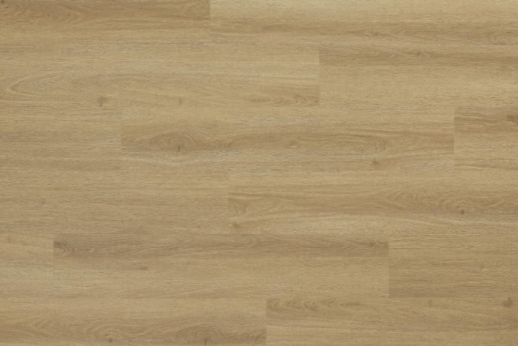 Woodric Acoustic - Eiche Cordoba, Bild 3 von 4