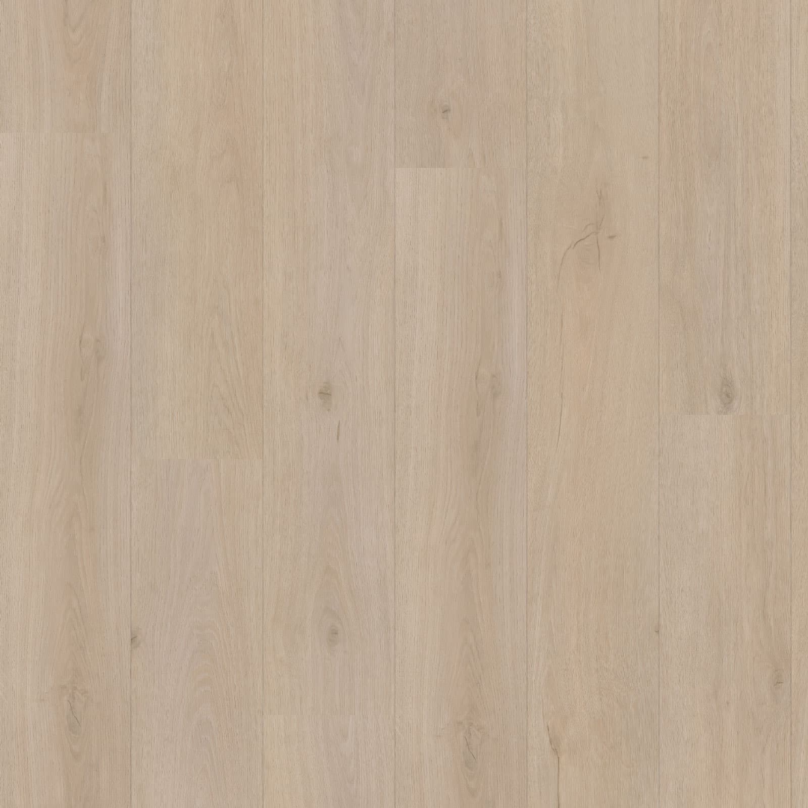 Eiche 7210 Klebe, Bild 3 von 3