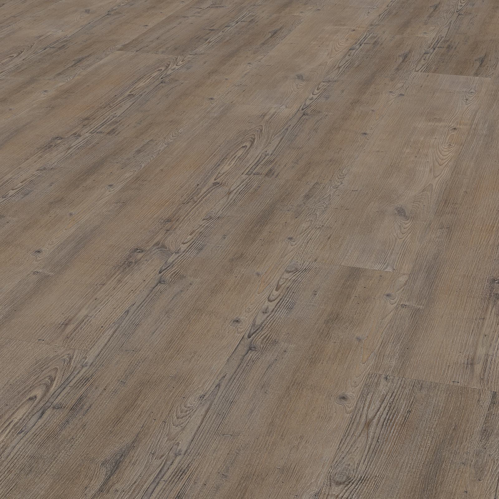 Nadelholz 4205 Klick